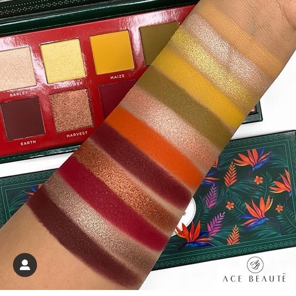 Ace Beaute Other - Ace Beaute Classical Paradise EyeShadow Palette BNIB